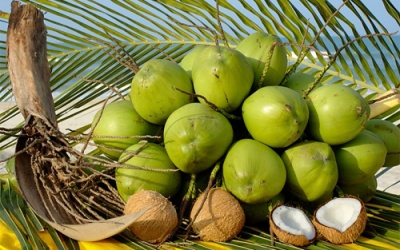 Da đẹp nhờ nước dừa