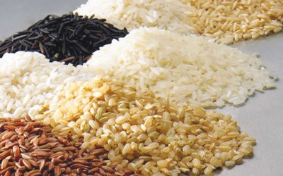 Kiểm soát ATTP với các sản phẩm gạo, giá đậu