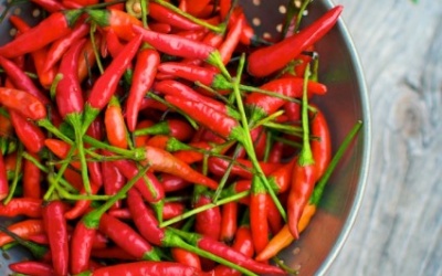 Ớt đâu chỉ để đưa cay...