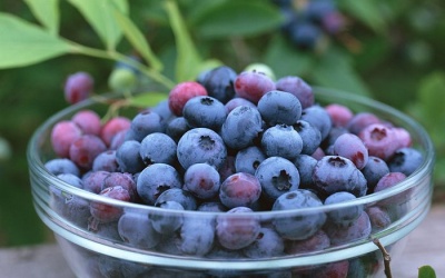 'Làm quen' với các siêu thực phẩm