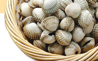 Thiếu sắt, giảm tư duy