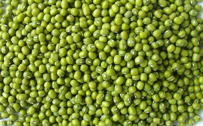 Đỗ xanh - chớ thấy lành mà lạm dụng