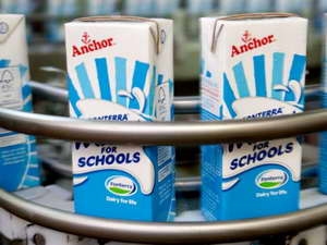 Chính phủ New Zealand điều tra bê bối sữa Fonterra