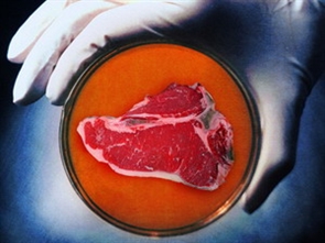 Các tỷ phú ngành IT chạy đua sản xuất thịt nhân tạo