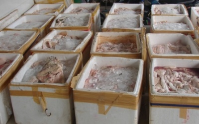 Chặn hơn 500kg thịt thối 'Nam tiến'