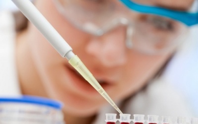 Bí ẩn về các tế bào cơ thể người bất tử