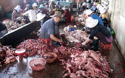 Ồ ạt nhập khẩu thực phẩm ôi thiu