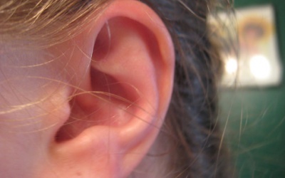 Làm gì khi côn trùng chui vào tai?
