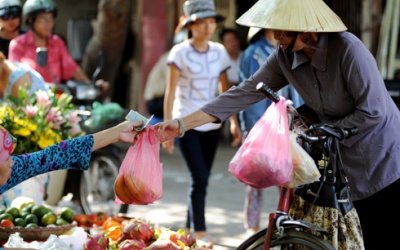 Túi nylon - tiện nhỏ, hại lớn