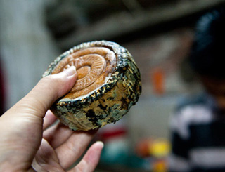 Hoang mang vì bánh trung thu 'nhiều tuổi'