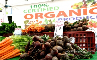 TQ: Giới kinh doanh kiếm bộn từ nỗi sợ thực phẩm bẩn