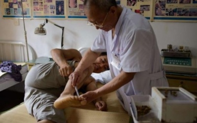 Chữa ung thư bằng... nọc ong