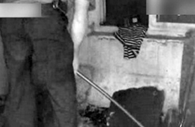 TQ: Em bé mất tích vì 'chào đời' trong nhà vệ sinh