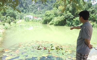 Hòa Bình: Nghi án nhà máy quặng 'đầu độc' dân