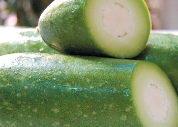 Uống nước bí đao tươi dễ bị ung thư?