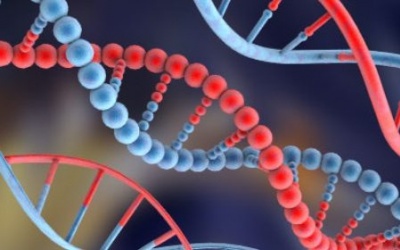 Phát hiện mới về ung thư máu