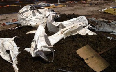 Đã xác định nhiều mẫu trà Lâm Đồng có chất cấm