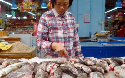 Hàng đông lạnh Trung Quốc: đủ chứng nhận vẫn đầy chất cấm