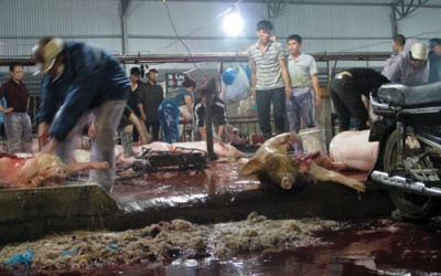Thịt mất vệ sinh và tù mù chất cấm: Không thể kiểm soát?