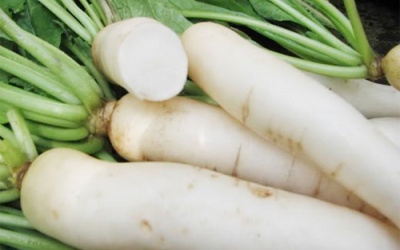 Công dụng chữa bệnh của củ cải