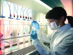 Liệu pháp nhắm trúng đích: Lời giải cho bệnh ung thư?