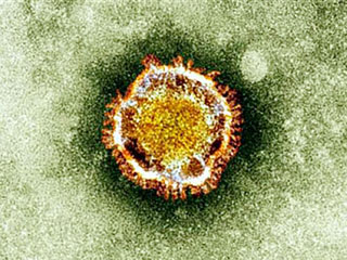 Qatar phát hiện ca nhiễm virus giống SARS thứ hai