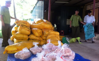 Bắt giữ 1,5 tấn mực 'dây chun' trên đường Nam tiến