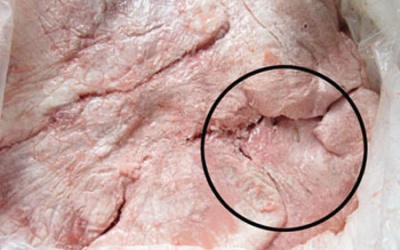 Bắt giữ hơn 1 tấn nầm heo thối trên đường tiêu thụ