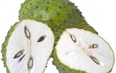 Lợi ích từ trái mãng cầu