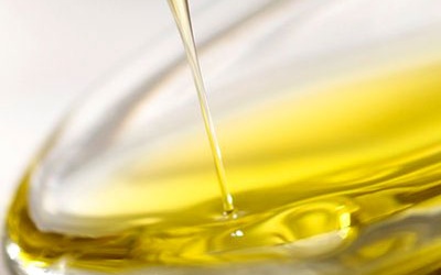 Vai trò của chất béo đối với cơ thể người