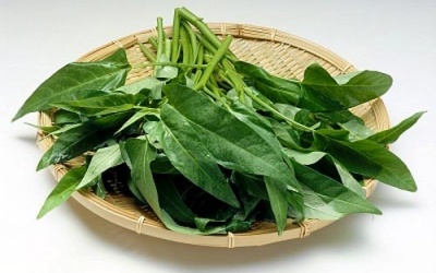 Rau muống - Vị thuốc dân dã
