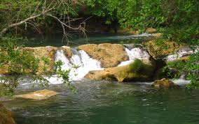 Sản xuất thực phẩm chức năng từ tảo suối