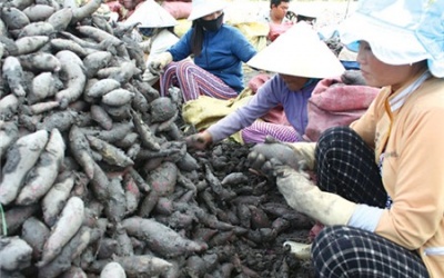 Quen làm ăn kiểu 'thuốc độc bọc đường'