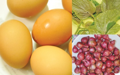 Bài thuốc giải cảm do nhiễm phong hàn