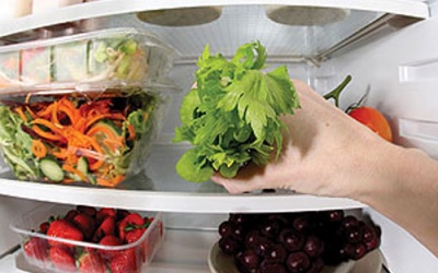 Giữ thực phẩm chứ đừng 'nuôi' vi khuẩn