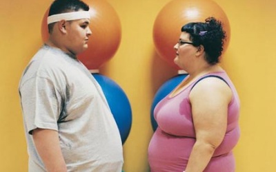 Chống béo phì nhờ vi khuẩn trong ruột