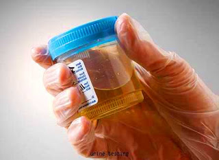 Những tiết lộ thú vị từ... nước tiểu