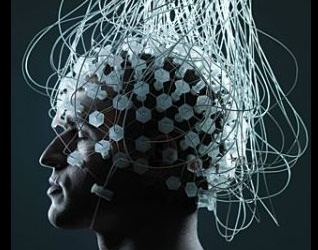 Máy đọc não người