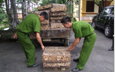 Bắt giữ vụ vận chuyển “chui” 3.000 con gà giống nhập lậu