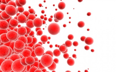 Bệnh về máu: càng hiếm gặp càng nguy hiểm