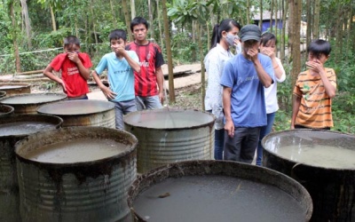 Rà soát các ca ung thư gần Nicotex Thanh Thái