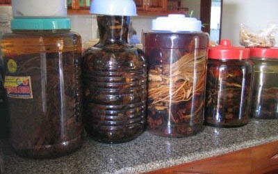 Uống rượu ngâm 'thần dược': người thiệt mạng, kẻ hôn mê