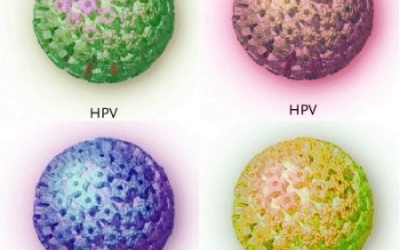 Trung Quốc: 'Tuyển' trinh nữ cho nghiên cứu virus HPV