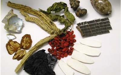 Ung thư giai đoạn cuối có nên dùng thuốc nam?