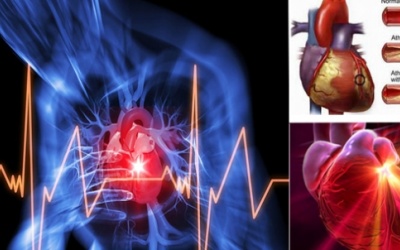 Đối tượng nào có thể sử dụng Vương Tâm Thống?