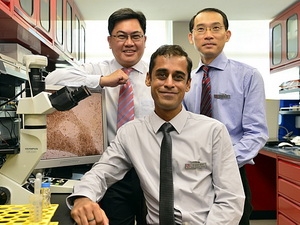 Tìm ra thuốc điều trị rối loạn nhịp tim gây đột tử