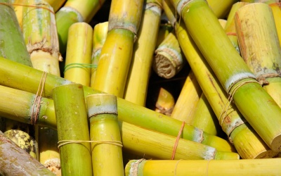 'Thực dưỡng' mùa thu theo Đông y