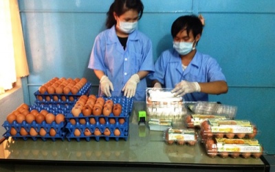 Trứng gà Omega-3 đắt khách