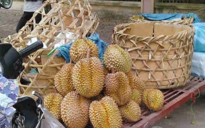 Sầu riêng bán dạo: Tươi ngoài, thối trong