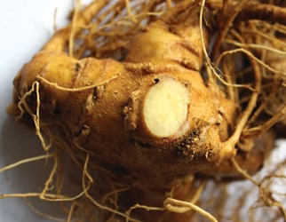 Mua sâm Ngọc Linh 'đại hạ giá': Coi chừng hàng rởm!